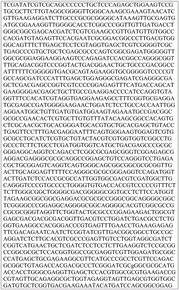 Figure BDA0002872168850001661