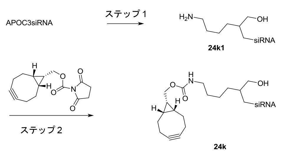 Figure 2022095757000174