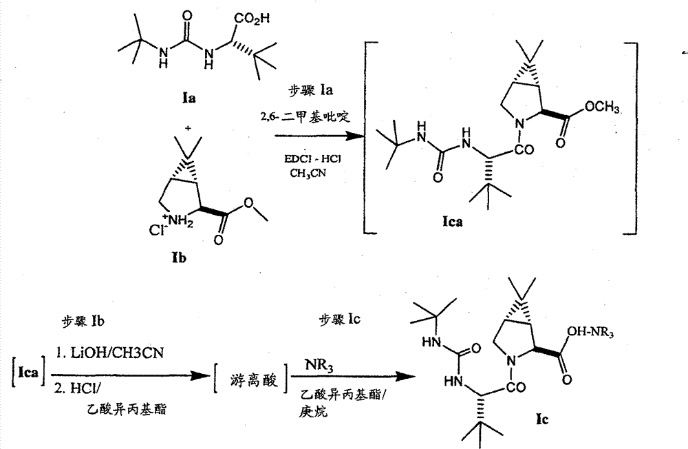 Figure DEST_PATH_GSB00000662122700011