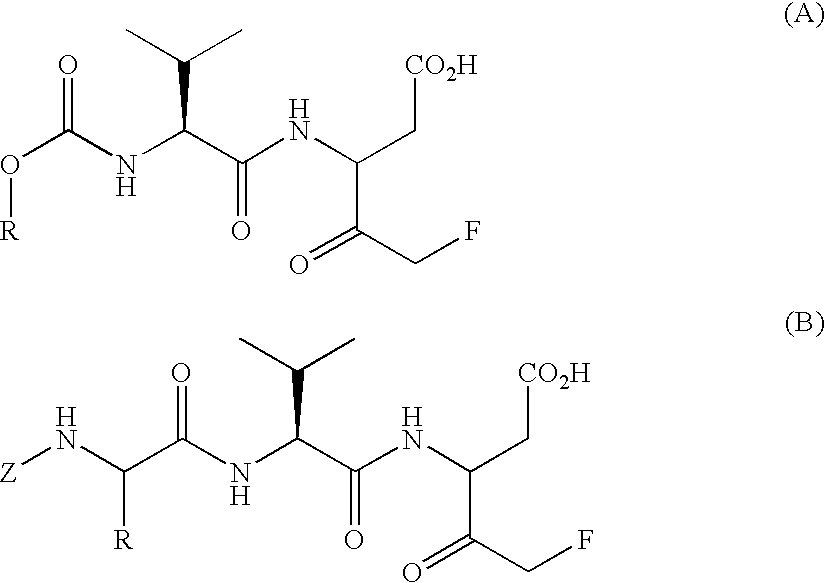 Figure US20040116355A1-20040617-C00021