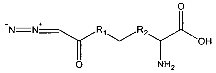Figure imgf000070_0002