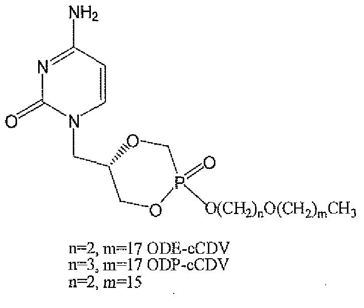 Figure imgf000024_0001