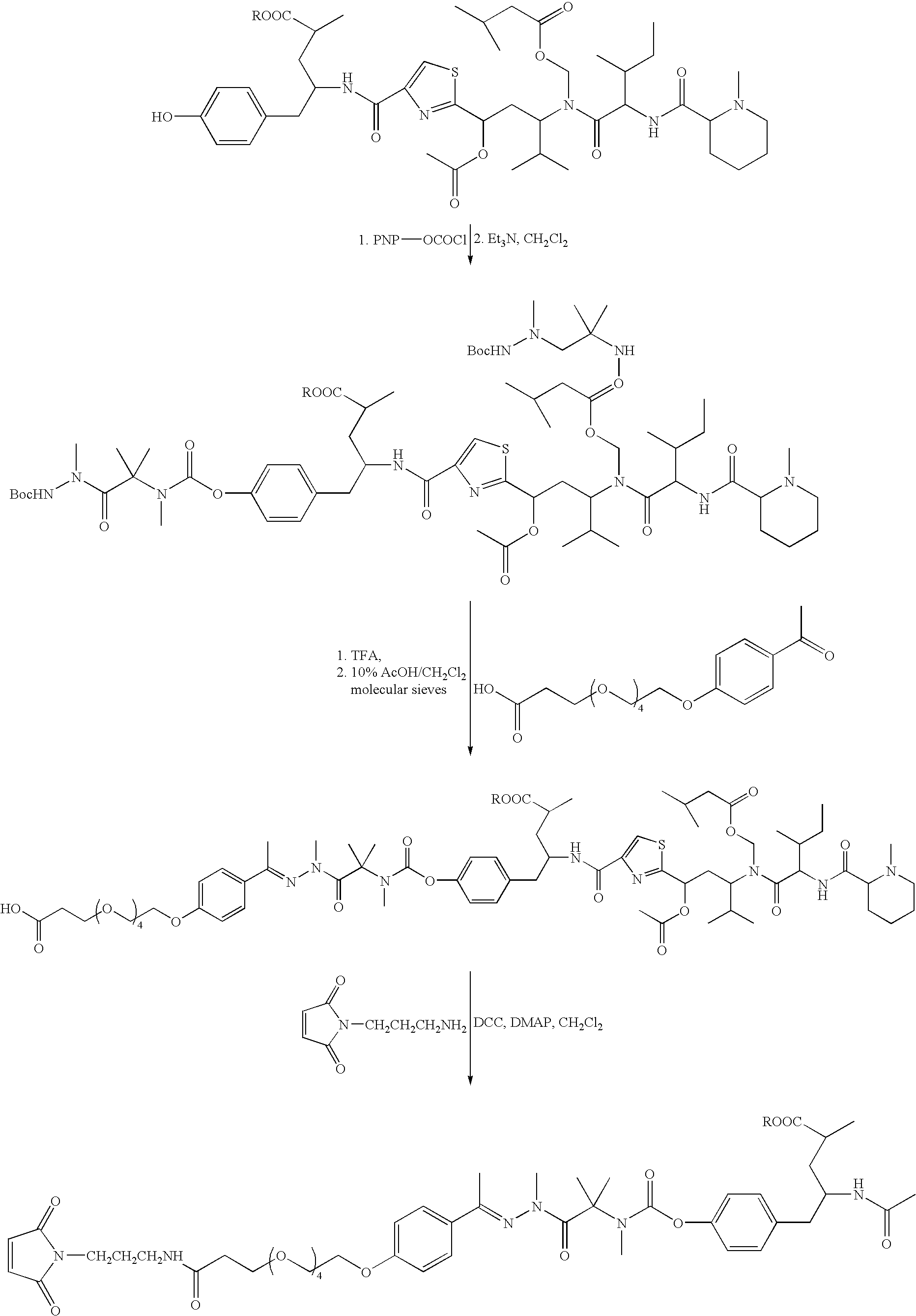 Figure US20080279868A1-20081113-C00113