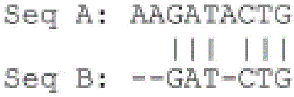 Figure BDA0002371381670000091