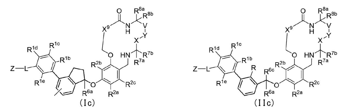 Figure 0007198269000045