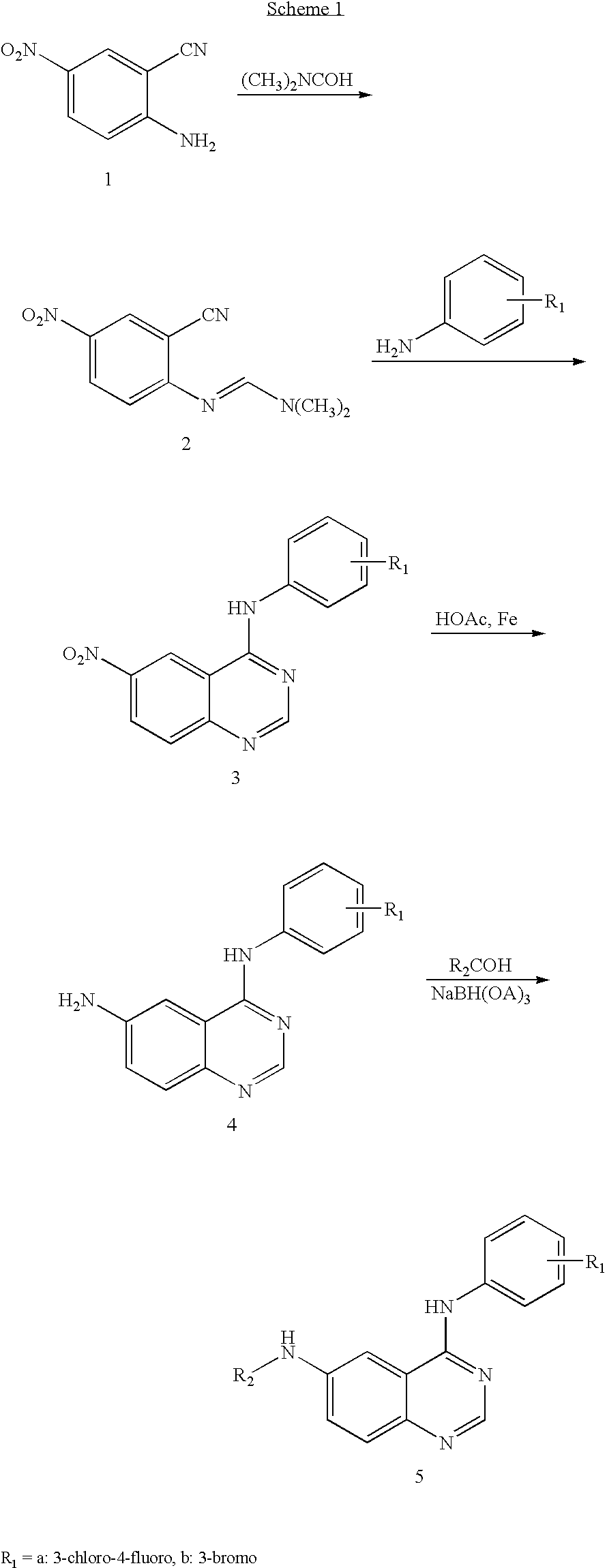 Figure US20050187231A1-20050825-C00011