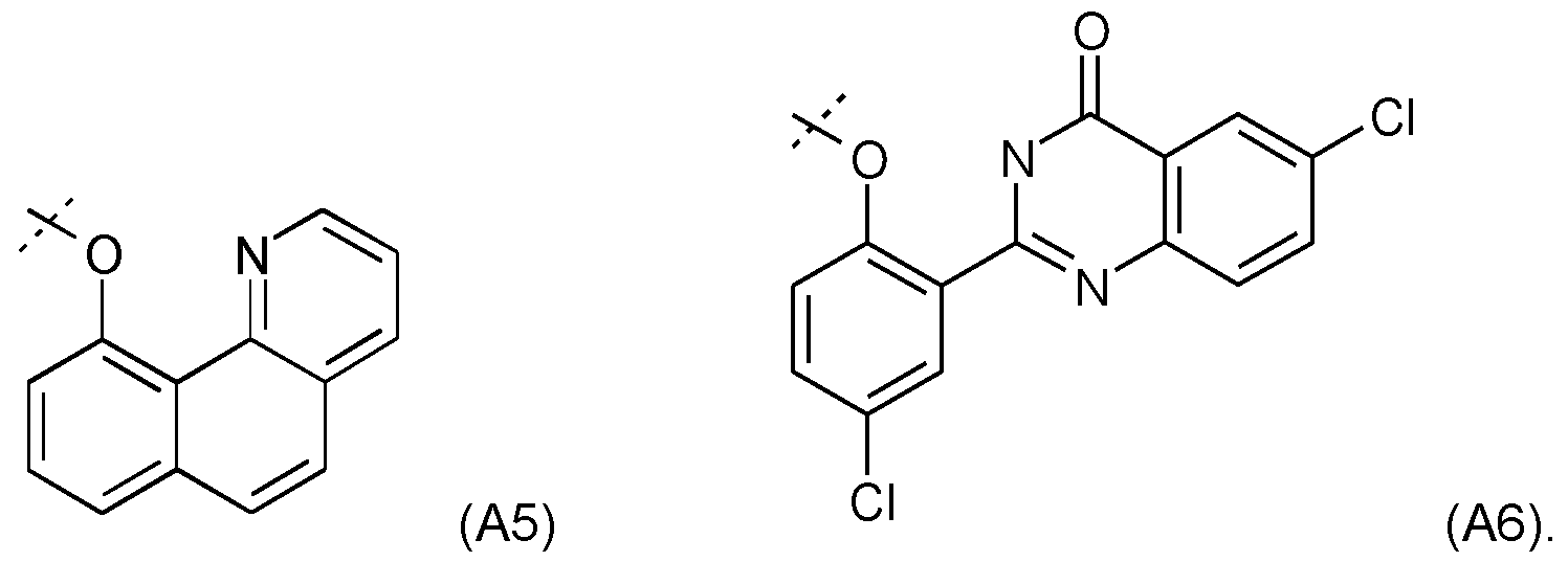 Figure imgf000019_0002