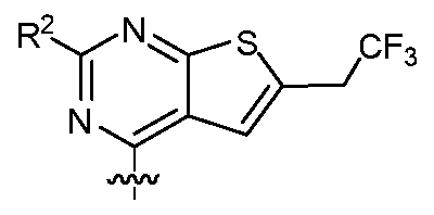 Figure imgf000013_0002