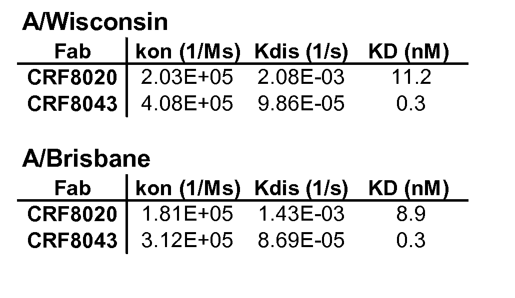 Figure imgf000105_0003