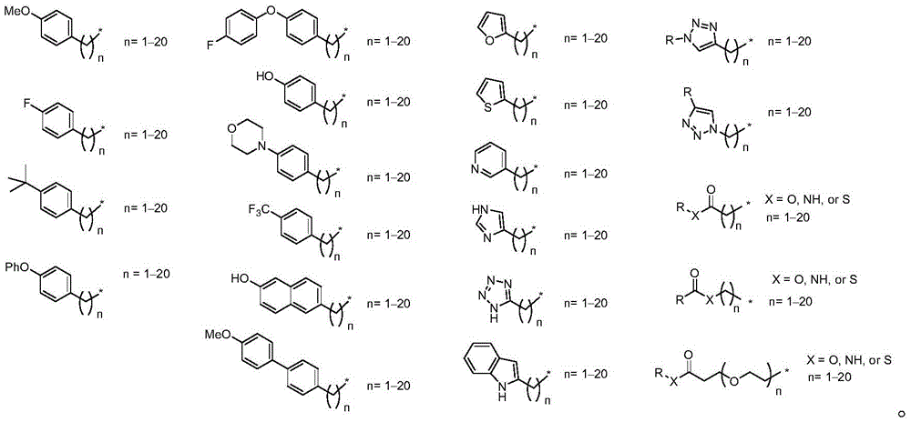 Figure FDA0003391153230000021