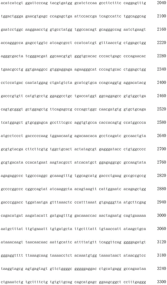 Figure IDA0002872168960000311