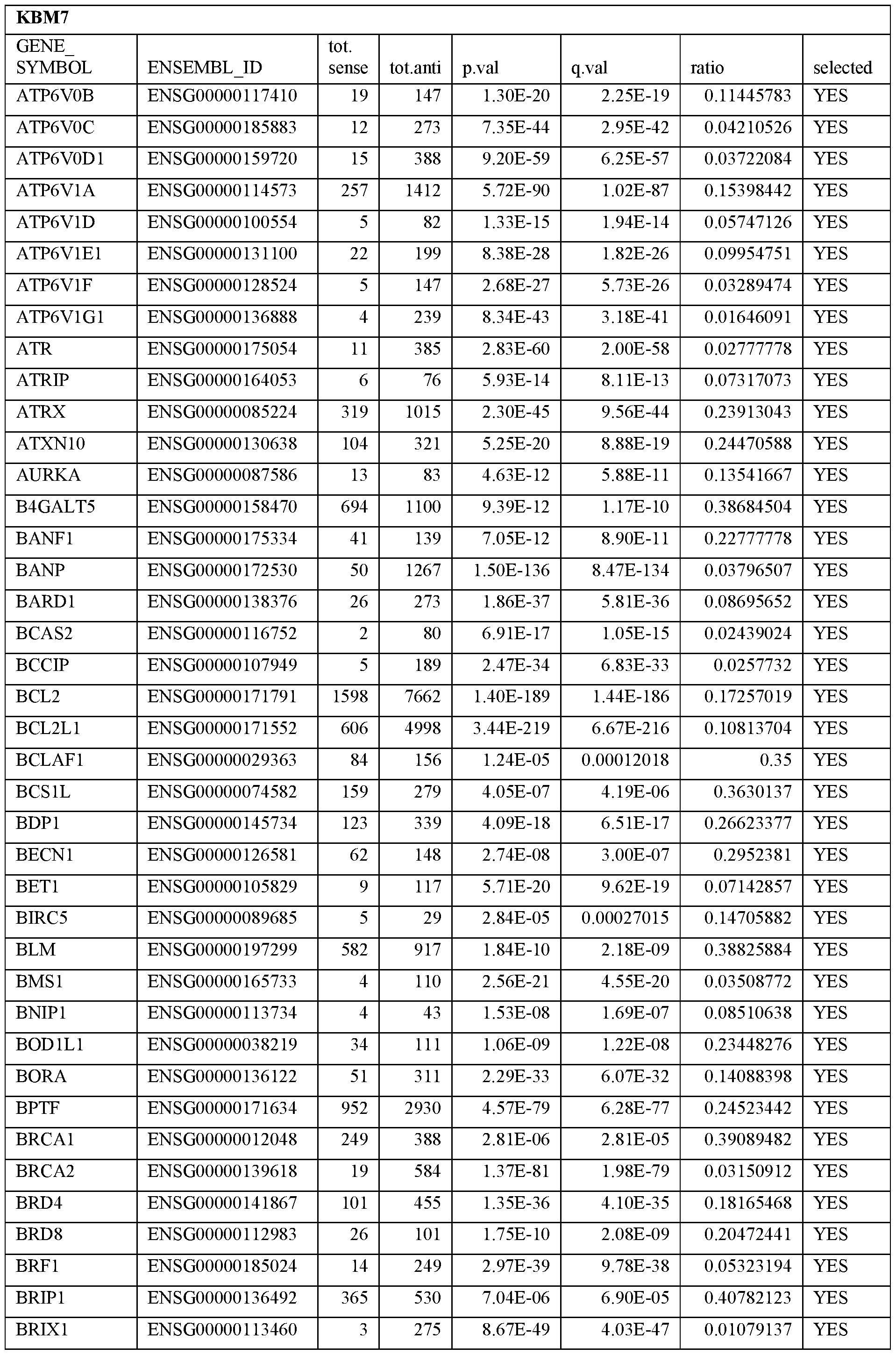 Figure imgf000017_0001
