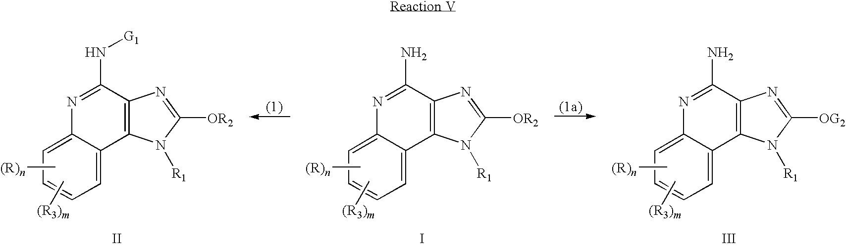 Figure US20090221556A1-20090903-C00021