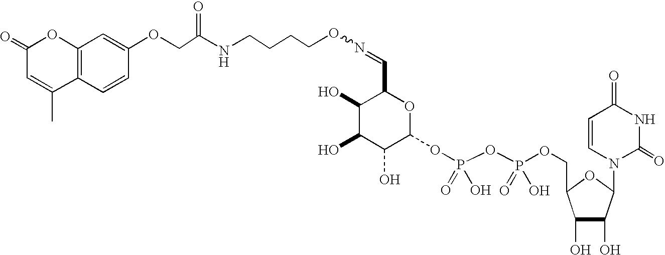 Figure US20080108557A1-20080508-C00104
