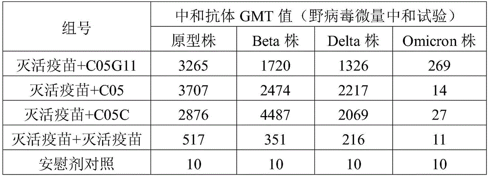 Figure BDA0003482980410000181