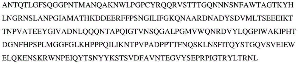 Figure BDA0004042604680000431