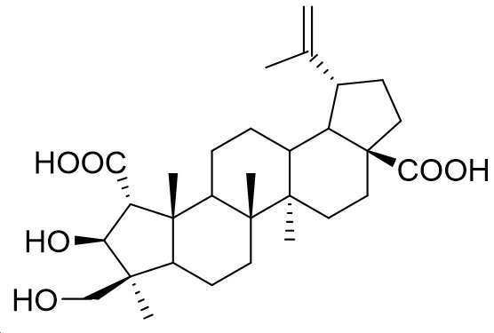 Figure 112021092307424-pat00044