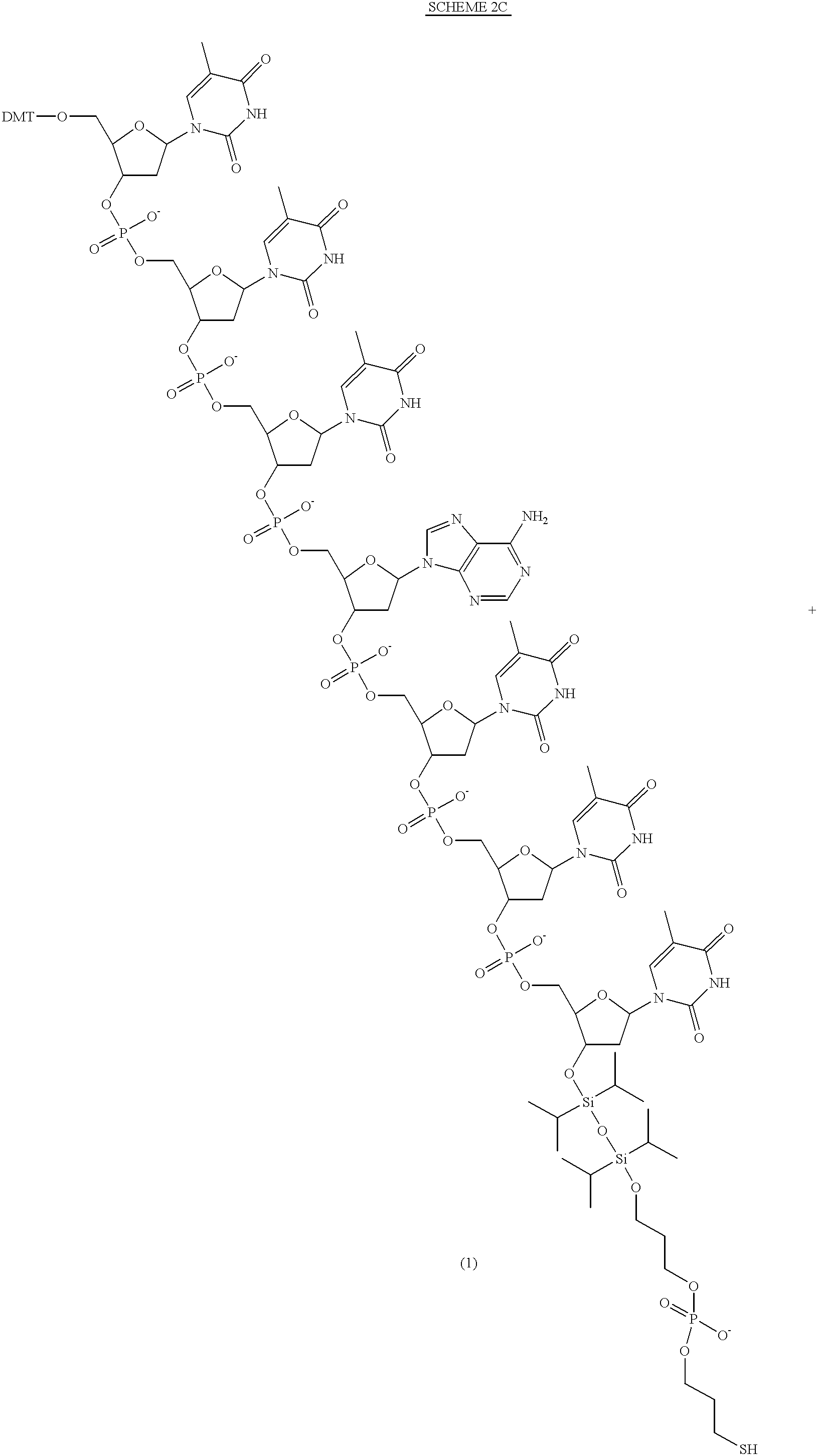 Figure US06472522-20021029-C00015