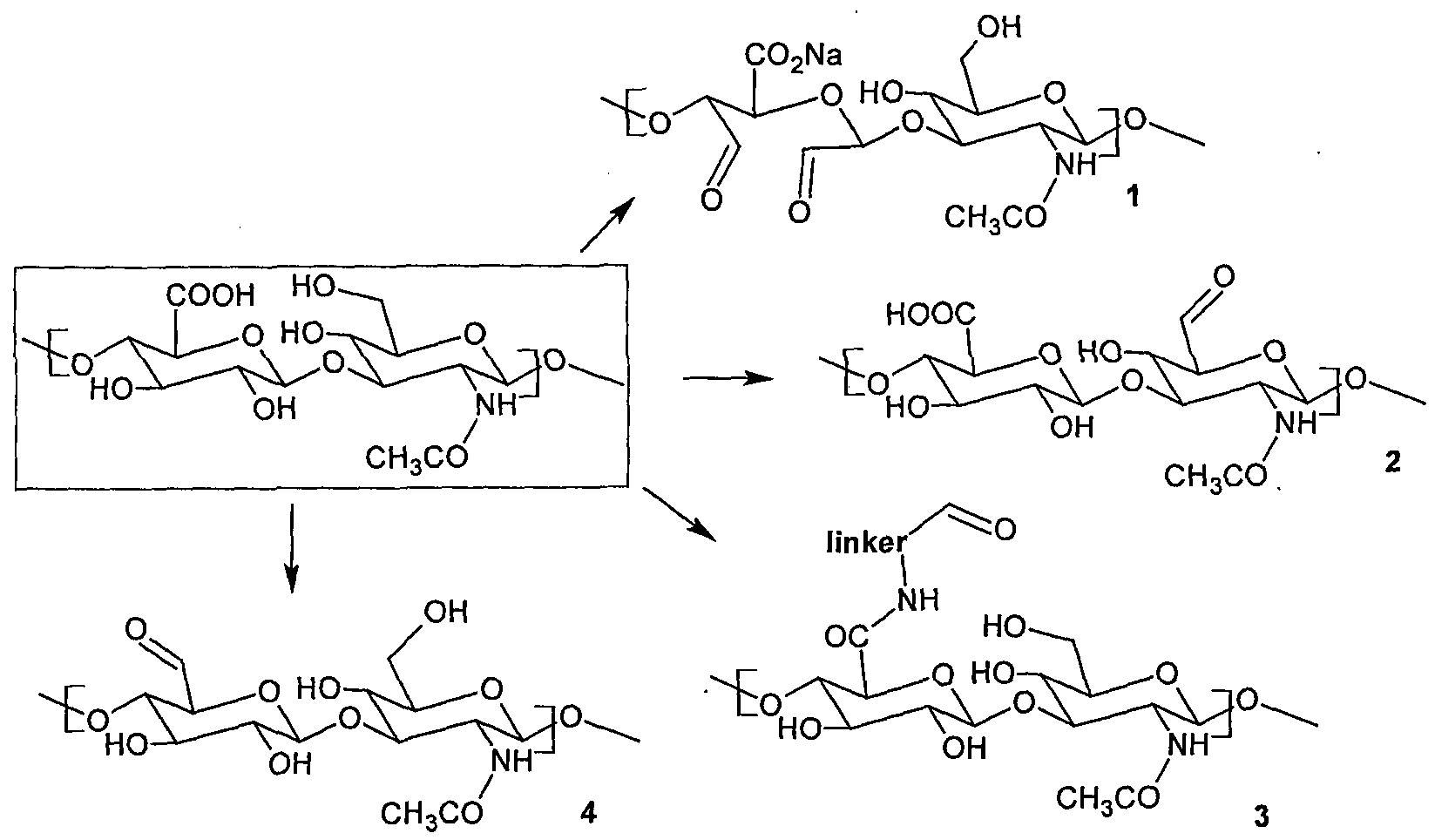 Figure imgf000003_0001