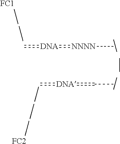 Figure US20220010376A1-20220113-C00013
