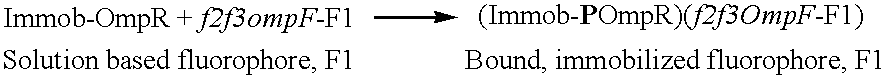 Figure US06808874-20041026-C00010