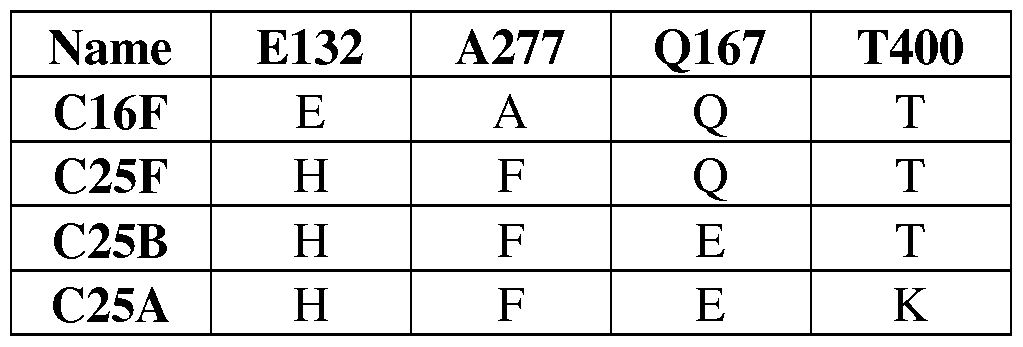 Figure imgf000123_0001