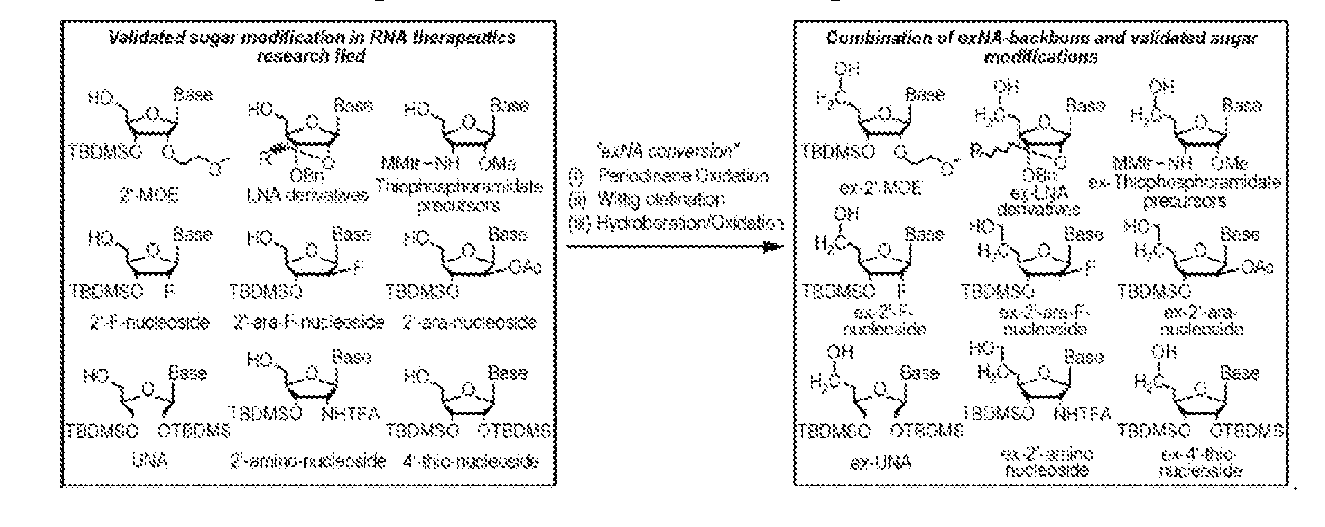 Figure imgf000100_0002