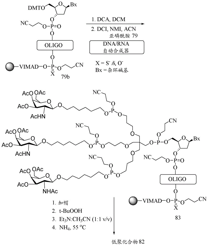 Figure BDA0002717577820002441