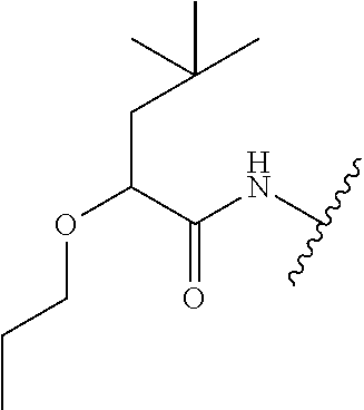Figure US20100009966A1-20100114-C00160