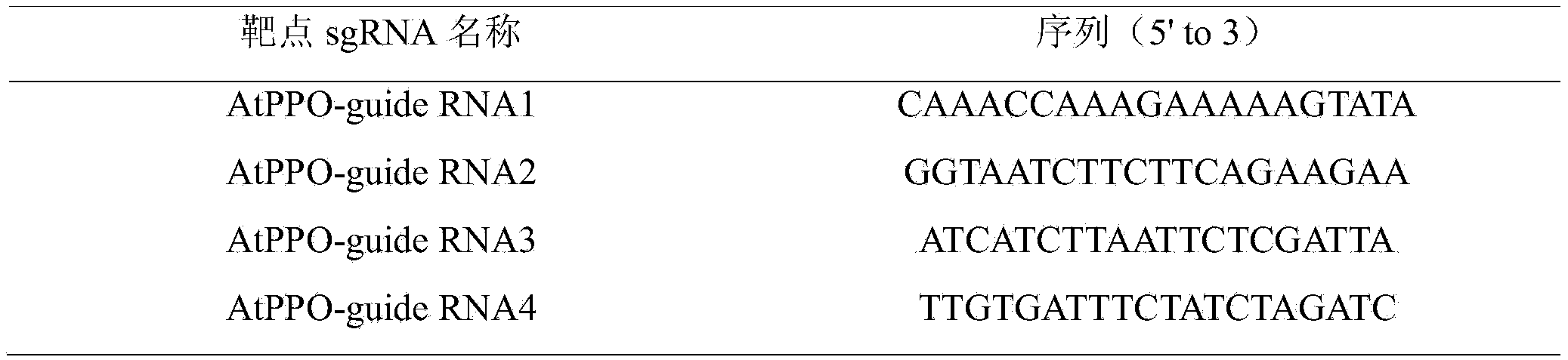 Figure PCTCN2020126747-appb-000033