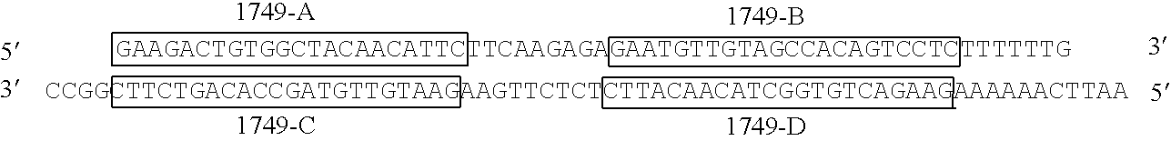 Figure US20090060987A1-20090305-C00001