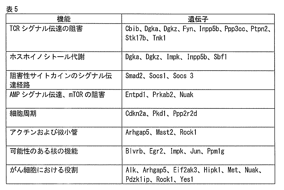 Figure 0007219254000077