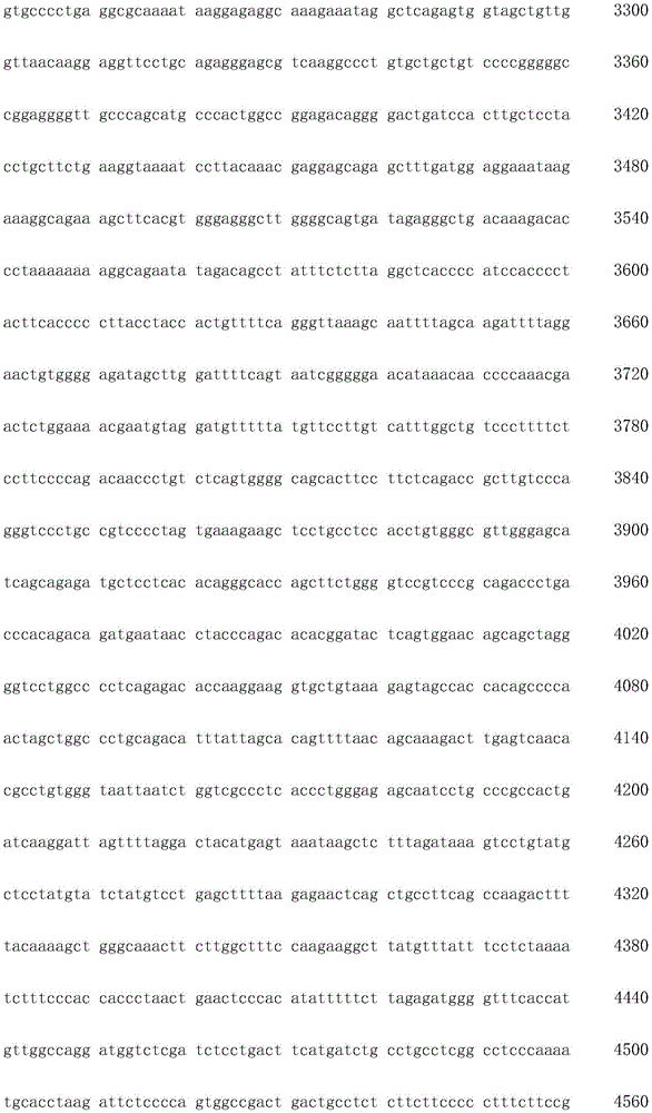 Figure IDA0003936212790000851