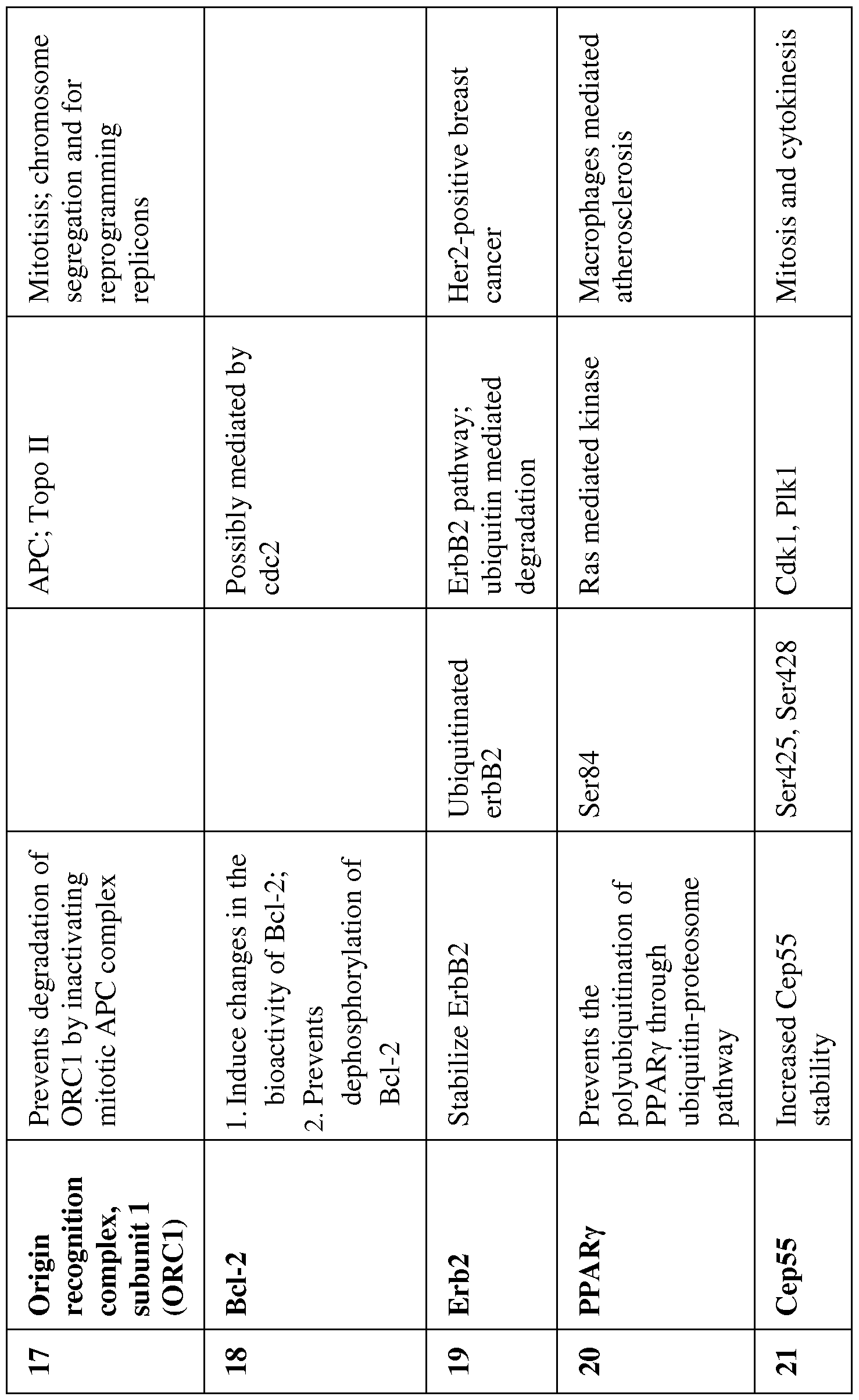Figure imgf000019_0001