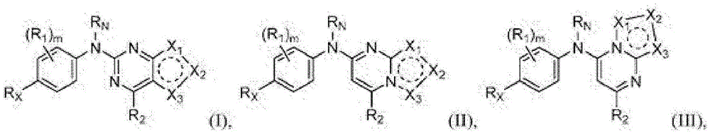 Figure BDA0001413555440000111