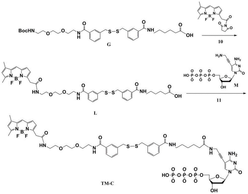 Figure RE-GDA0002840972120000211