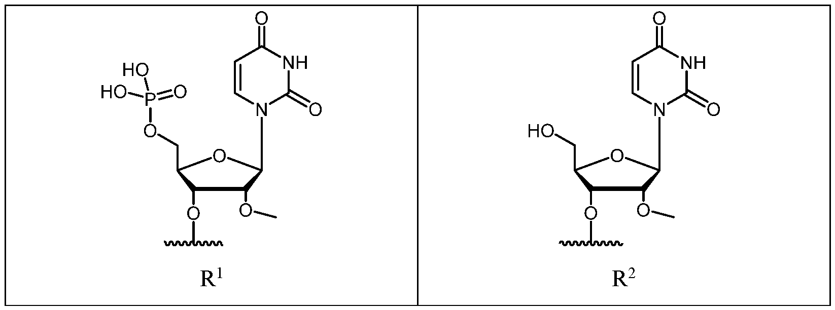 Figure imgf000055_0001