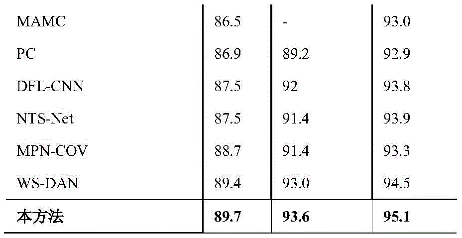 Figure BDA0002867802940000091