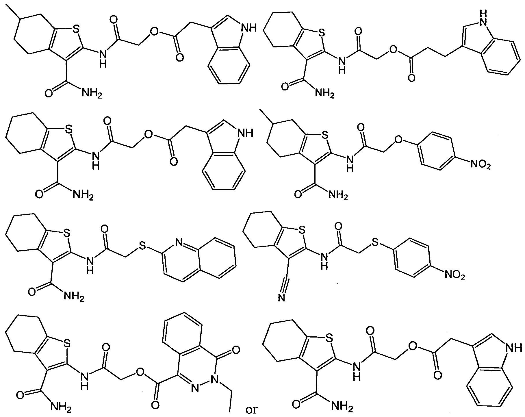 Figure imgf000007_0001