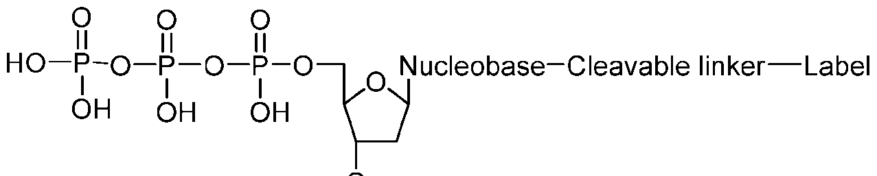 Figure imgf000026_0004