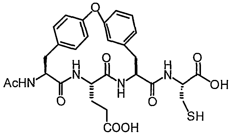 Figure imgf000004_0001