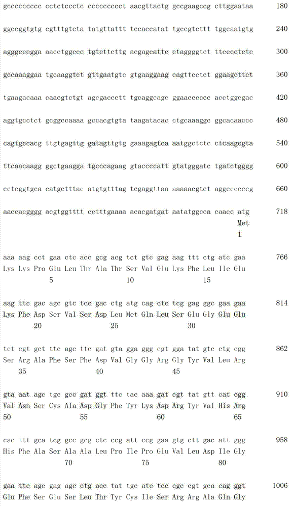 Figure IDA00003153972300051