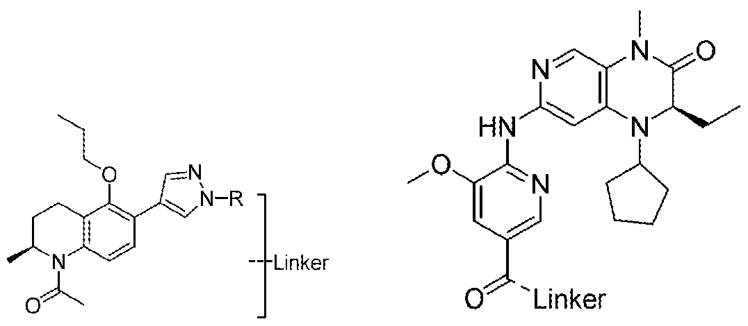 Figure imgf000317_0001