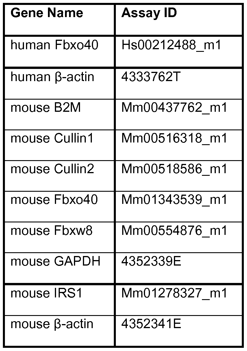 Figure imgf000074_0001