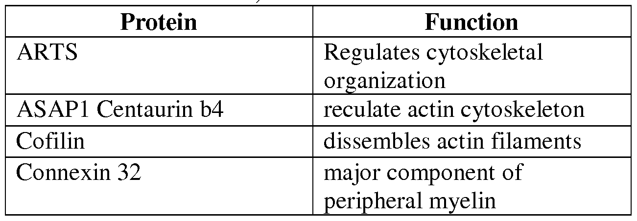 Figure imgf000076_0001