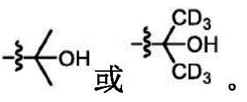 Figure FDA0003101608290000035