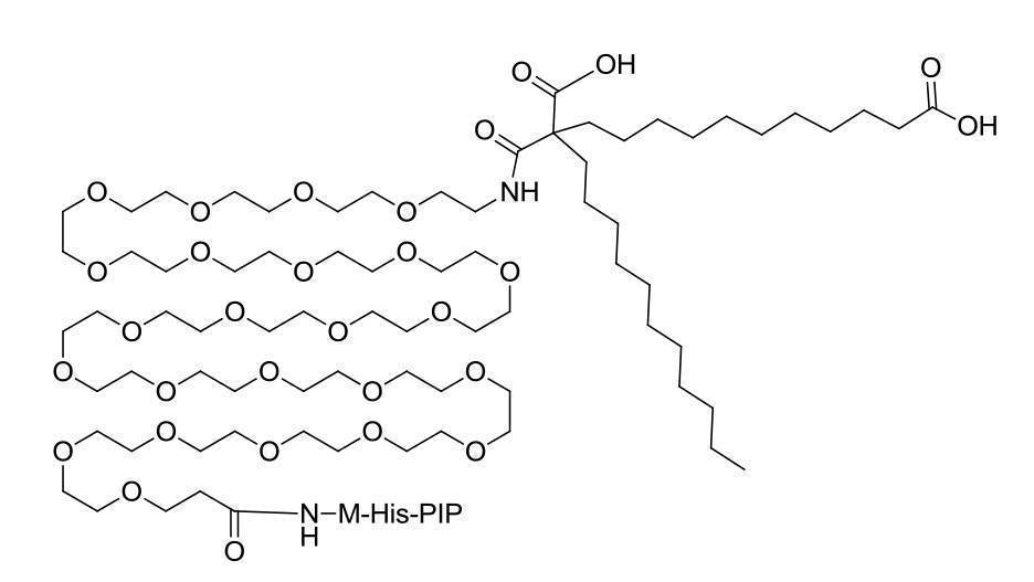Figure 2022095757000201