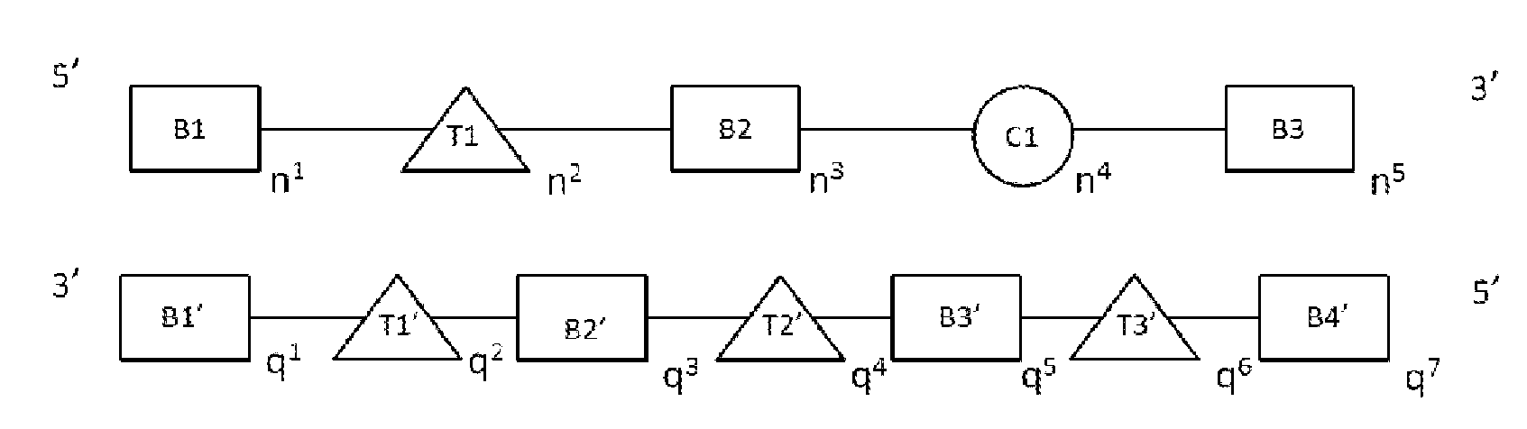 Figure imgf000067_0001
