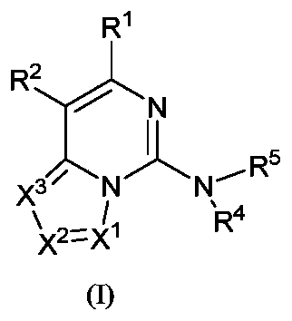 Figure PCTCN2019121844-appb-000001