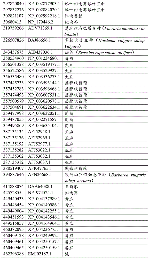 Figure BDA0001263175750000131